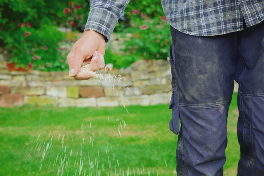 How Soil Preparation Impacts The Success Of Grass Seeding Auburn, WA