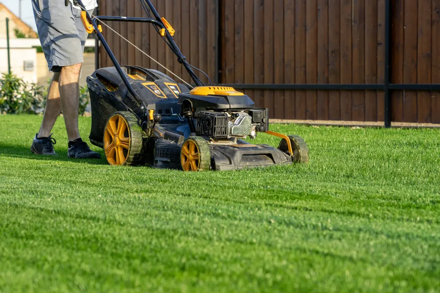 Understanding The Ideal Frequency For Lawn Mowing Auburn, WA