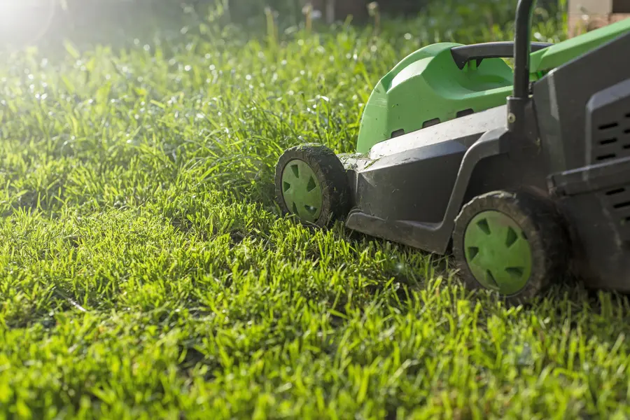 Understanding The Ideal Frequency For Lawn Mowing in Auburn, WA